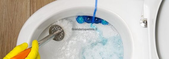 Migliori detergenti automatici per WC